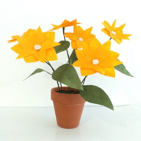 Plante fleurie jaune orangé en pot