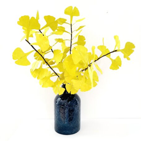 bouquet de ginkgo jaune anis